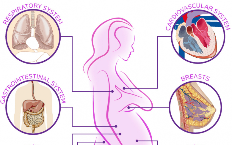 Cơ thể người mẹ khi mang thai sẽ thay đổi như thế nào? 1