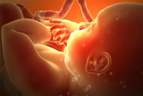 Các phương pháp chẩn đoán trước sinh trong ba tháng đầu 1