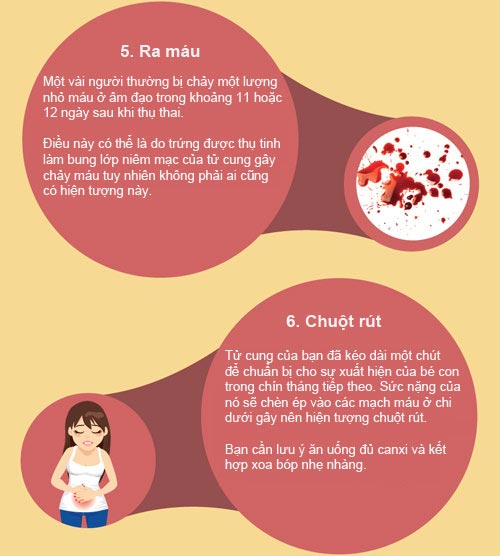 [Infographic] 11 dấu hiệu thường gặp khi mang thai 5