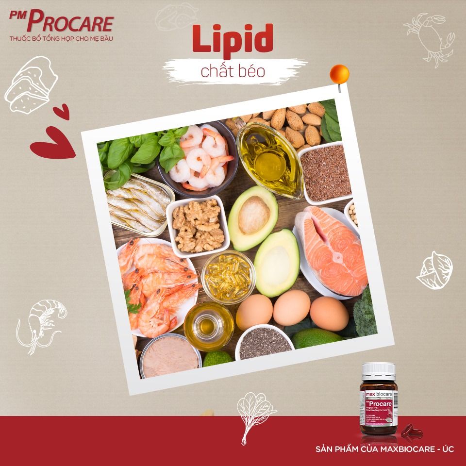 Dinh dưỡng thời điểm chuẩn bị  Dinh dưỡng thời điểm chuẩn bị