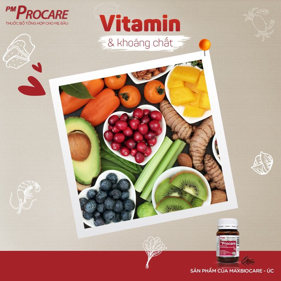 Dinh dưỡng thời điểm chuẩn bị  Dinh dưỡng thời điểm chuẩn bị