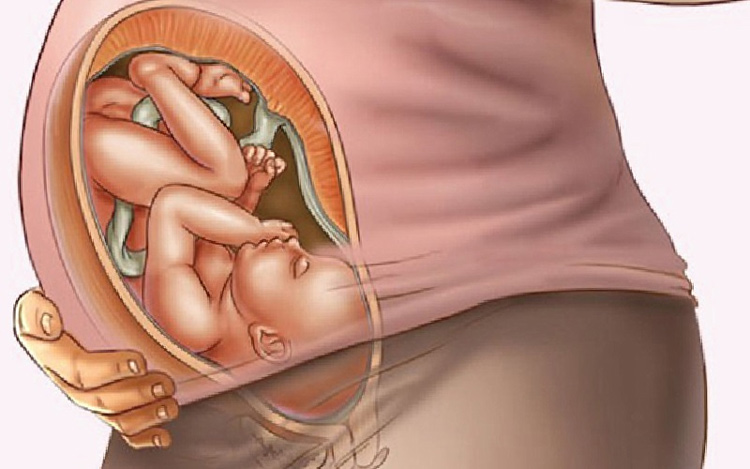 Sự phát triển của thai nhi trong 3 tháng cuối như thế nào? 1
