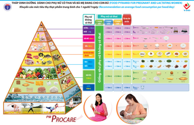 Tháp dinh dưỡng chuẩn nhất cho bà bầu 1 Tháp dinh dưỡng chuẩn nhất cho bà bầu 1
