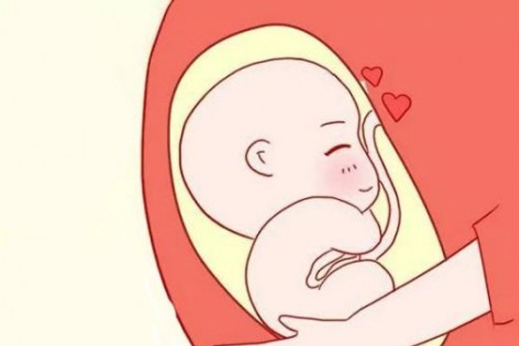 2. Mẹ bầu thay đổi và em bé phát triển như nào? 1