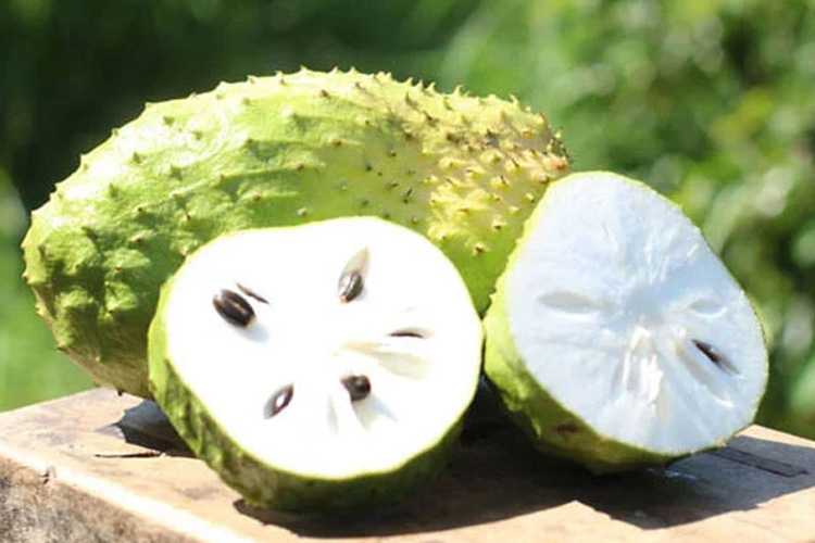 Mãng cầu 1 Mãng cầu 1