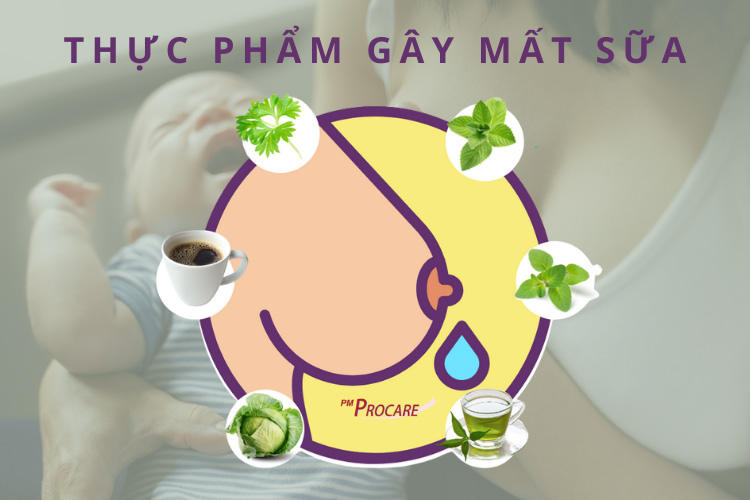 Thực phẩm gây mất sữa - mẹ bỉm cần tránh xa 1 Thực phẩm gây mất sữa - mẹ bỉm cần tránh xa 1