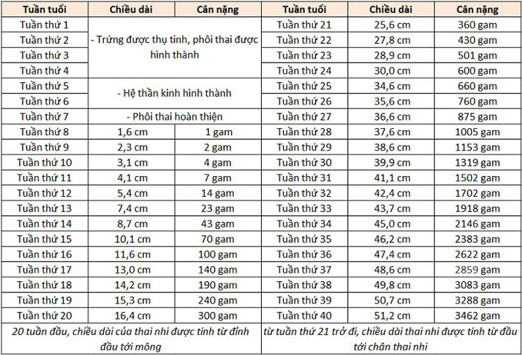 Bảng cân nặng chuẩn theo bệnh viện Từ Dũ 1