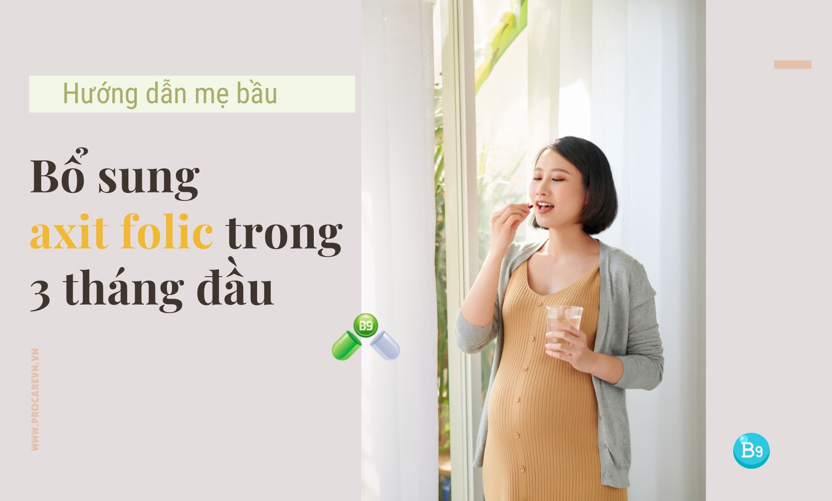 Bổ Sung Axit Folic Cho Bà Bầu 3 Tháng đầu Sao Cho đúng Và đủ 