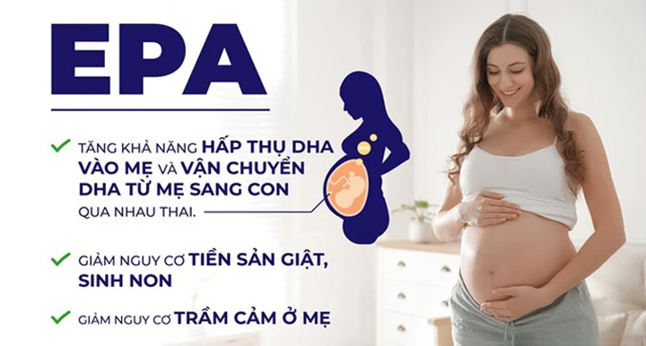 EPA có vai trò gì đối với thai kỳ? 1